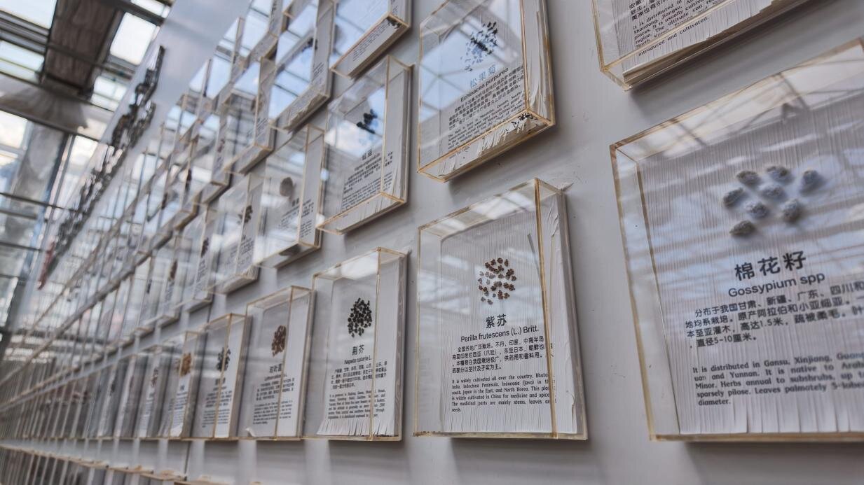 Seed wall specimens, view 6