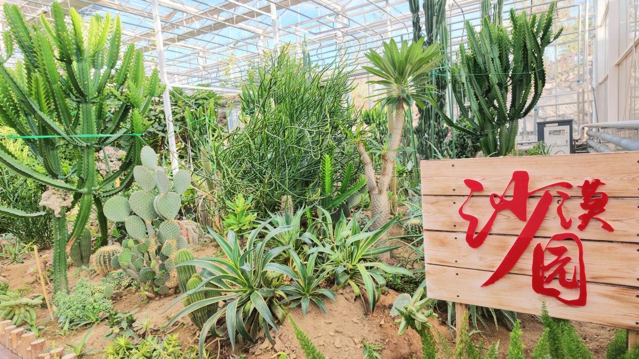 Psammophyte botanical garden, view 1