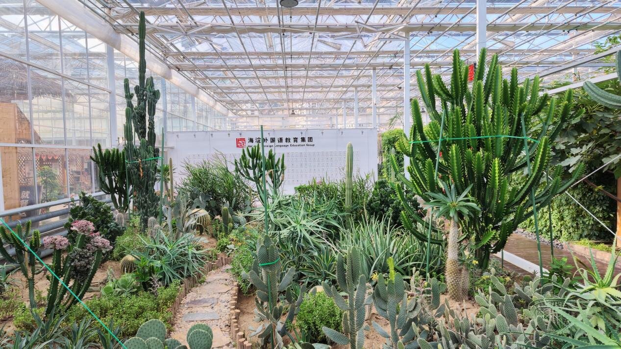 Psammophyte botanical garden, view 2