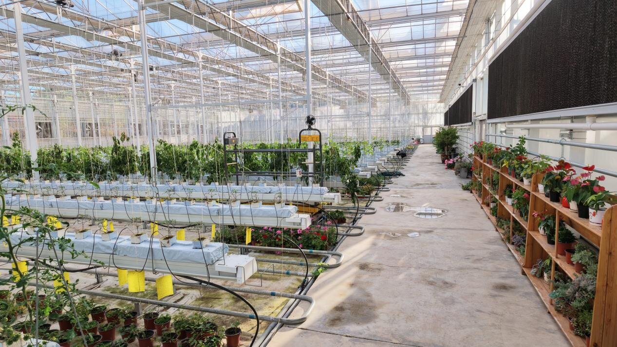 The Sun City greenhouse, view 1