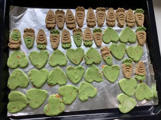 Trays of freshly baked horse biscuits in two colours, shaped as hearts and carrots, cooling on lined baking sheets