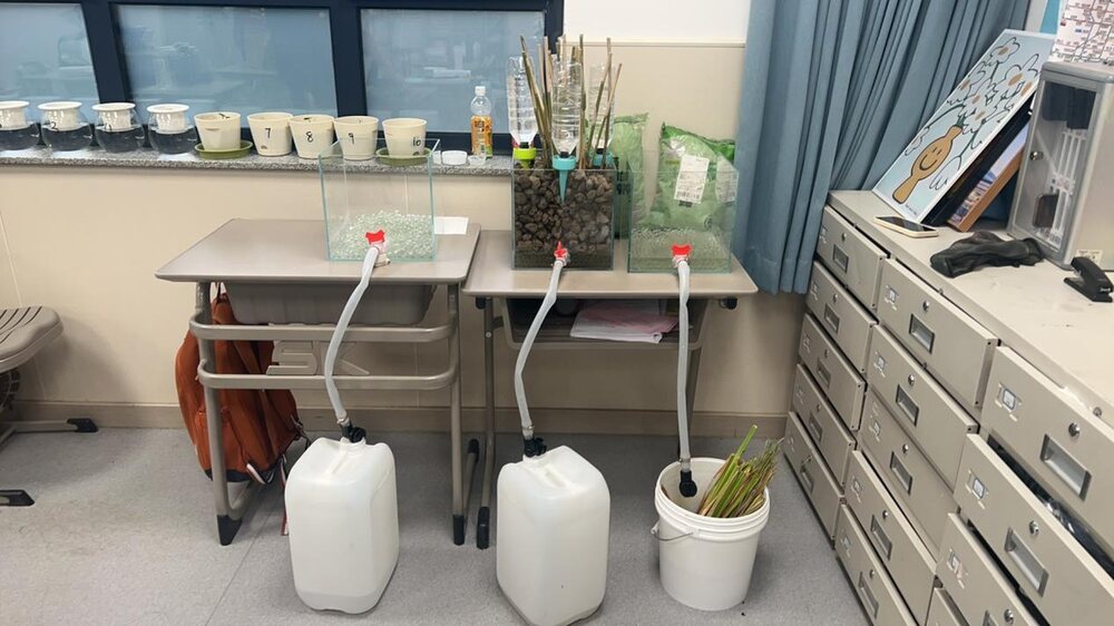 Three bench-scale vertical flow constructed wetland models planted with different aquatic species