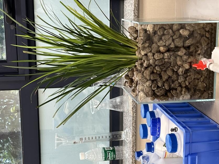 Close view of a planted wetland column with gravel substrate and sampling bottles