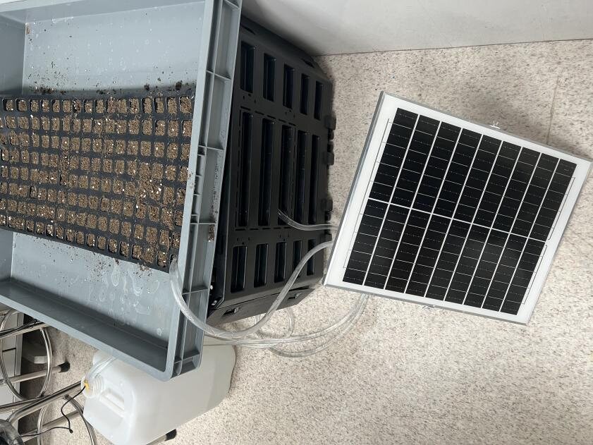 Compost-heating rig: seedling tray over a water-jacketed base connected by tubing to a small solar panel