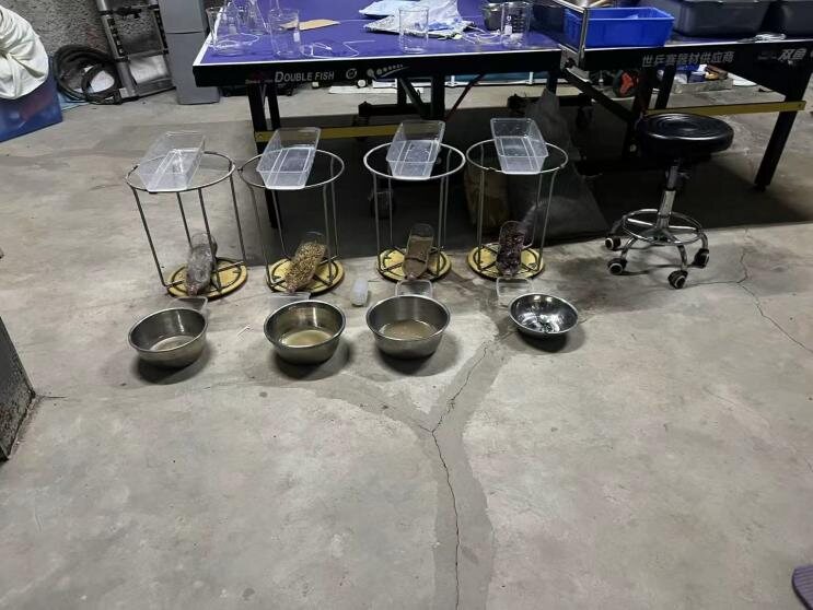 Four rainfall simulator rigs with different surface covers, each draining into a collection basin