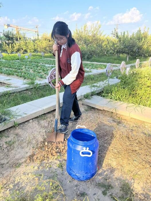 A student shovelling soil beside a blue barrel in the school garden beds