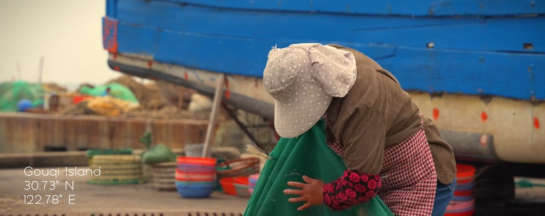 Hands sorting produce into baskets at a coastal market stall during fieldwork