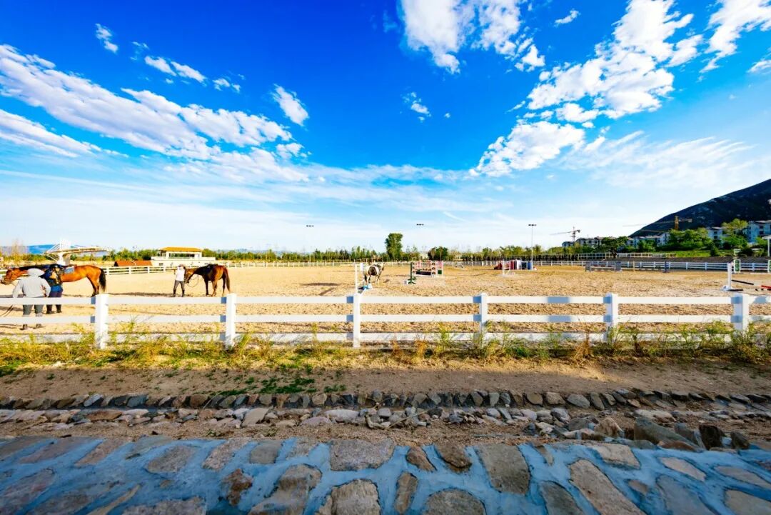 The outdoor arena at the school with horses working in the distance